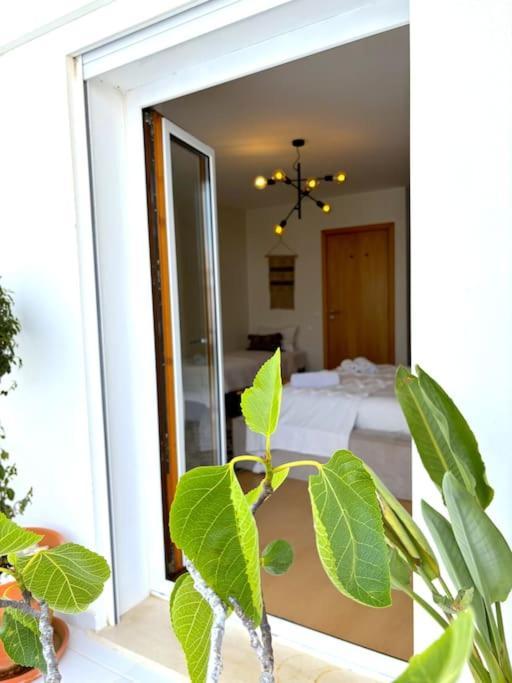 Nazare Boutique W Sea View And Private Rooftop Terace ภายนอก รูปภาพ
